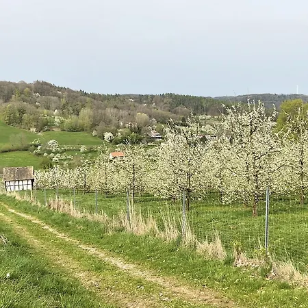 Apartment Wohlfühloase Ermreuth Neunkirchen